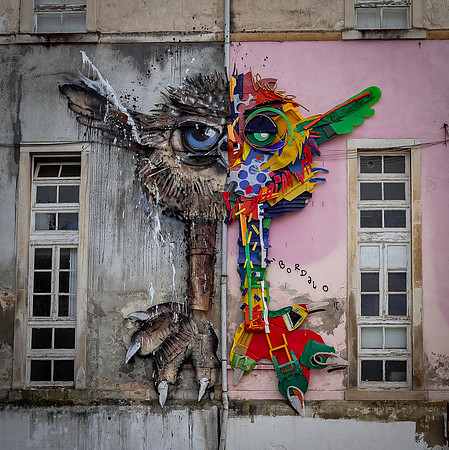 Porto Bird