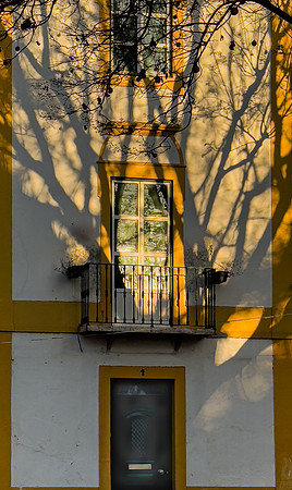 Evora Morning Light