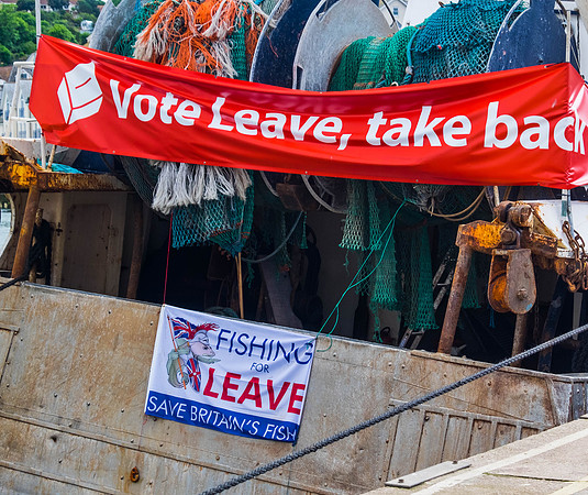 Brexit Leave