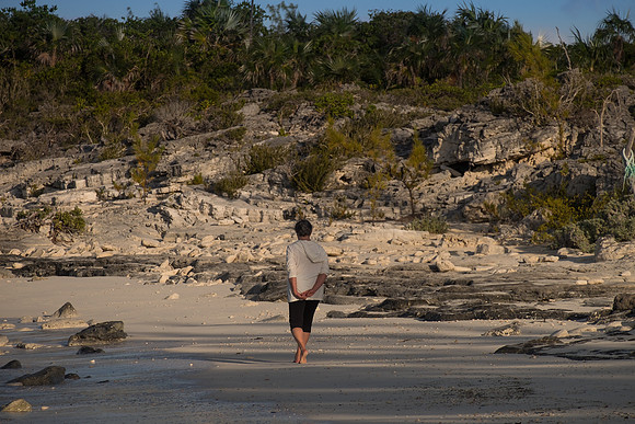 Cat Island 100-39
