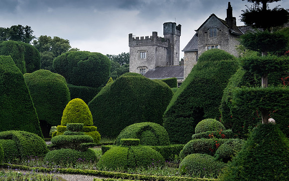 The Topiary