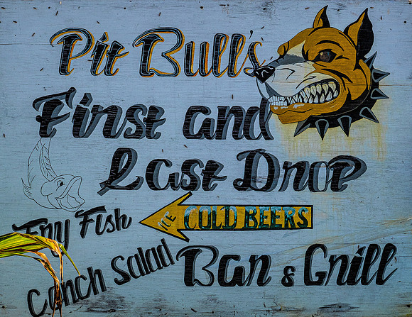 Pit Bull's