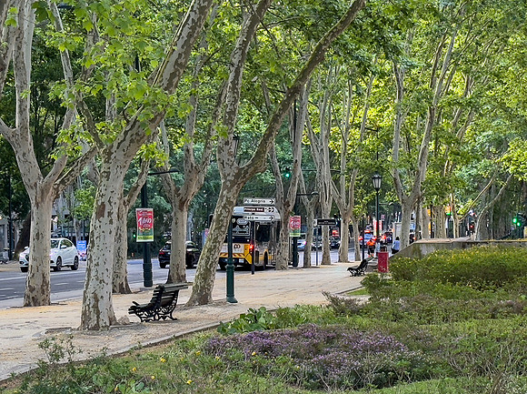 Avenide de Liberdade