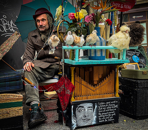 Bird Man Musician